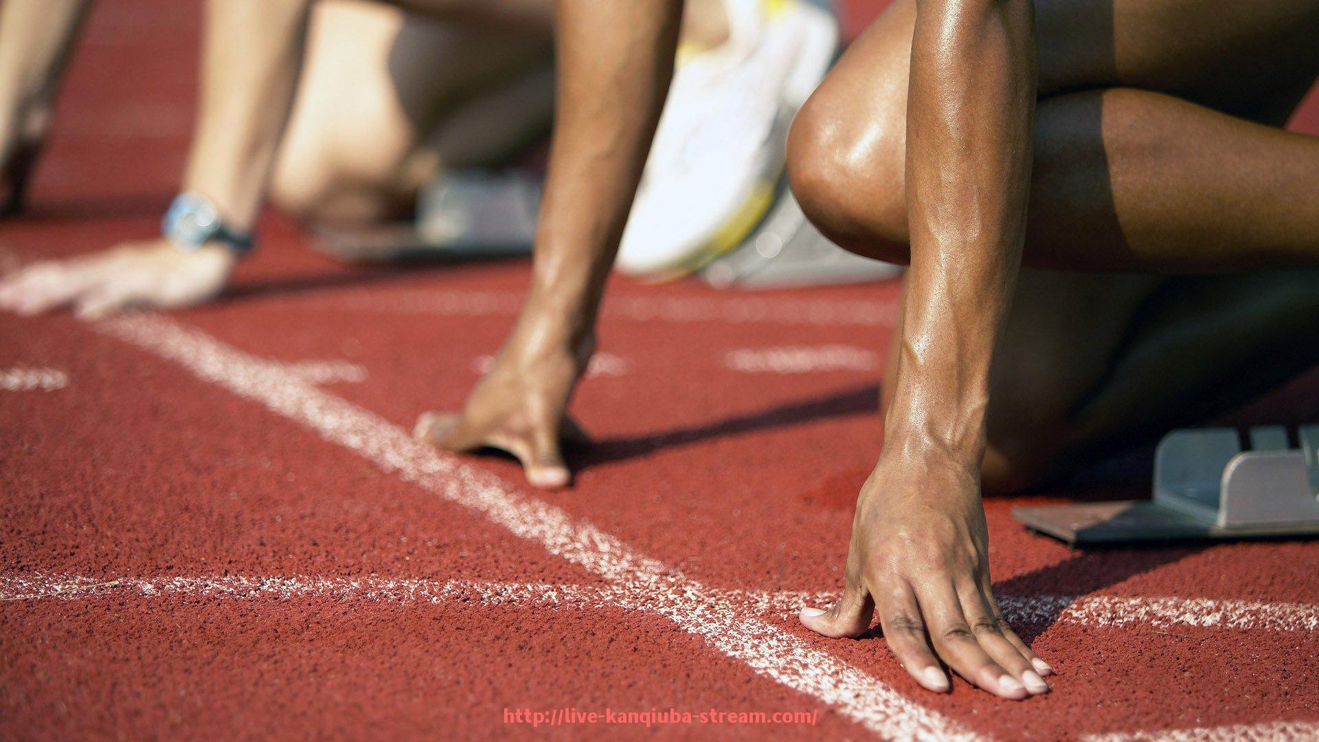 看球吧直播-见证狂欢：世俱杯球迷观赛体验与心得全景回顾